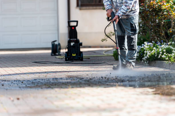Best Roof Pressure Washing  in Northwood, IA